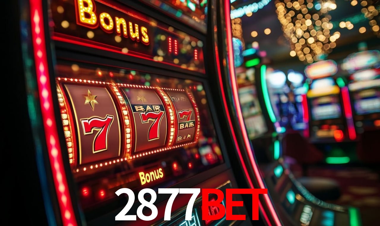 Interface Premium 2877BET
